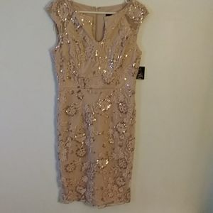 NWT ALEX EVENINGS Pink Sequin Embroidered Dress